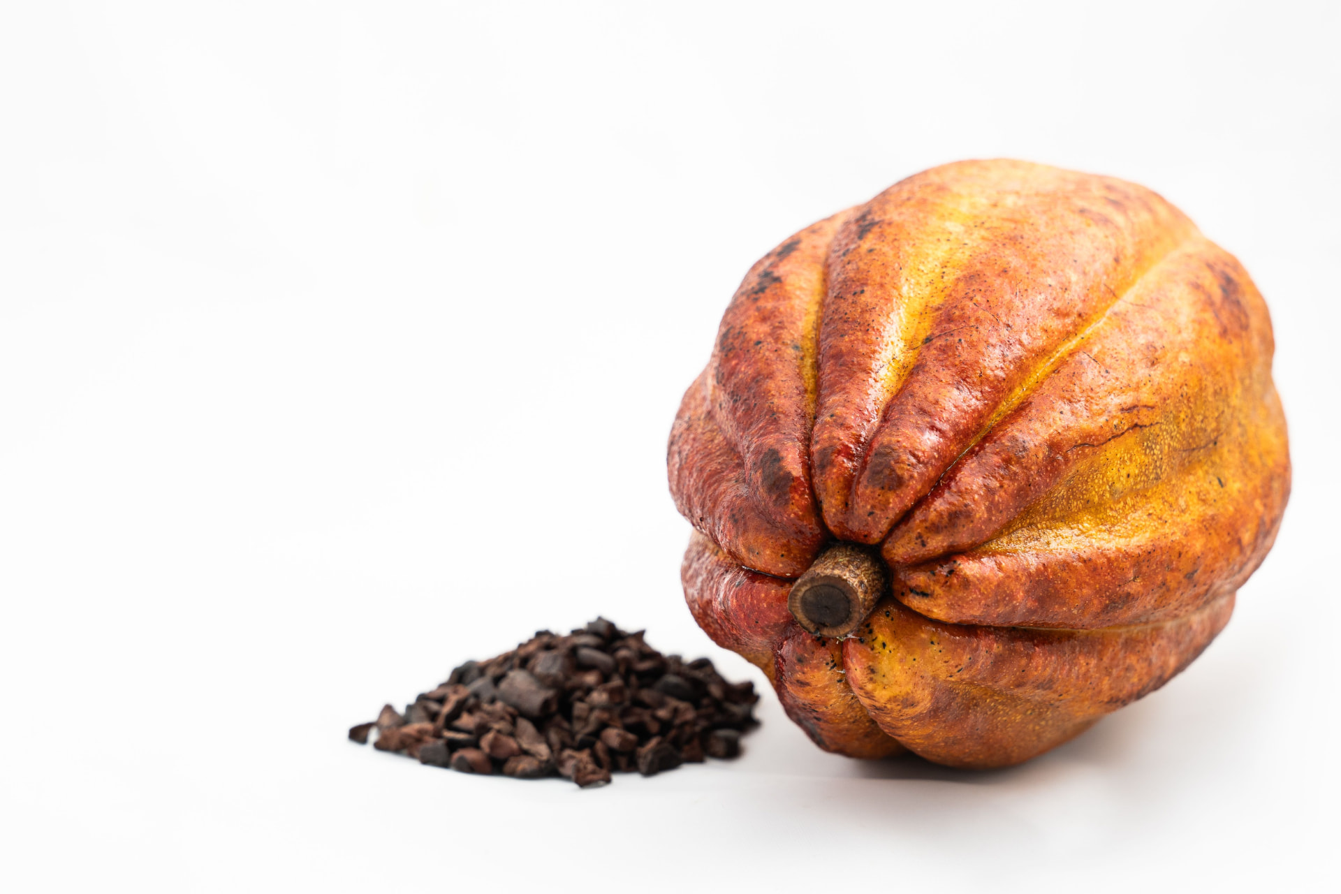 A ripe golden cocoa pod beside a small pile of freshly extracted cocoa nibs on a light background